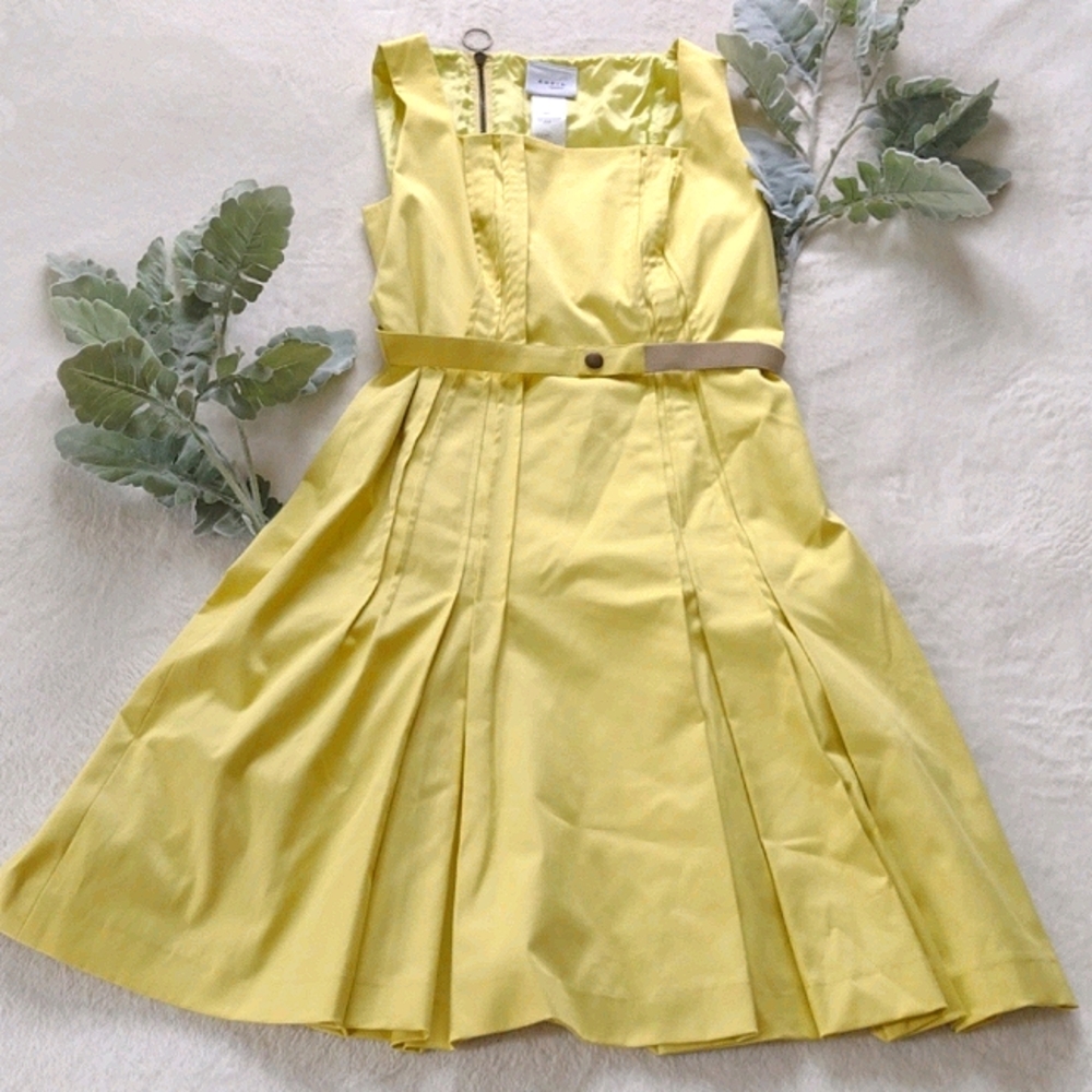 (NWOT) A-K-R-I-S Punto pleated midi dress